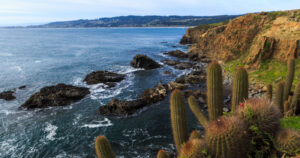 Pichilemu