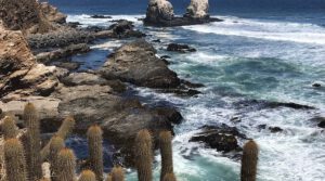 Punta de Lobos