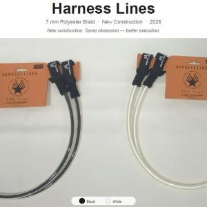 Lineas de Arness Ezzy