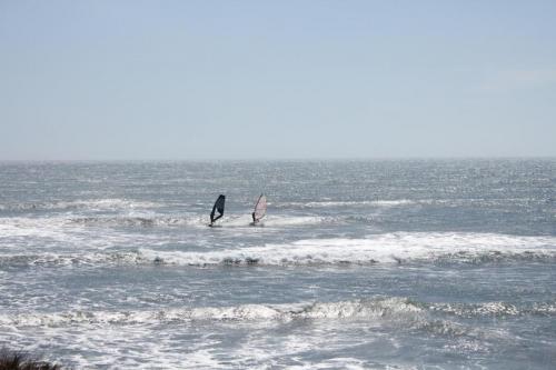 IMG 8736