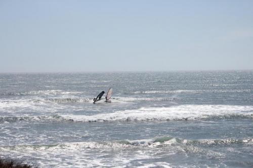 IMG 8737