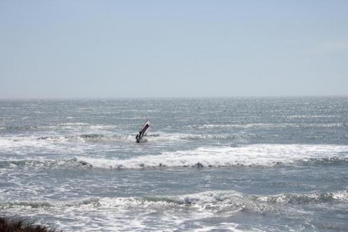 IMG 8738