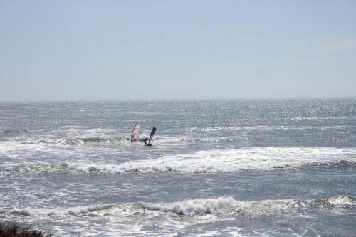 IMG 8739