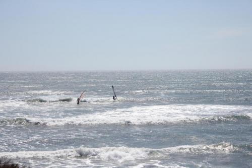 IMG 8741