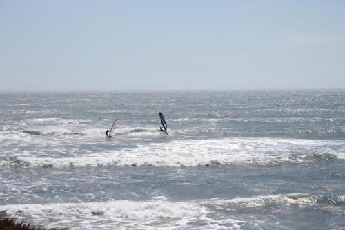 IMG 8742