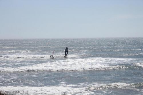 IMG 8744