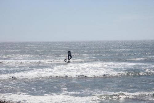 IMG 8746