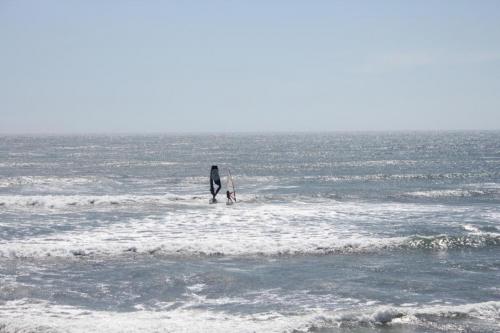 IMG 8747