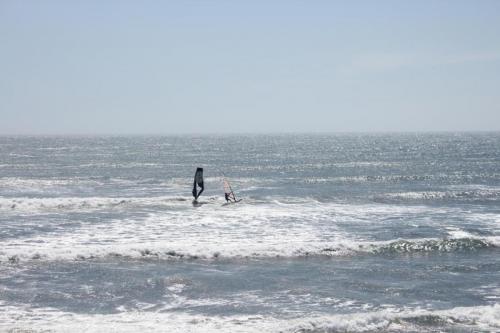 IMG 8748