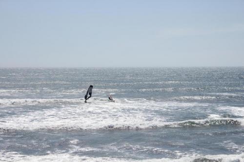 IMG 8749