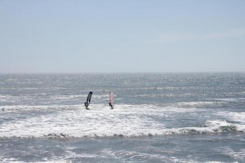 IMG 8750