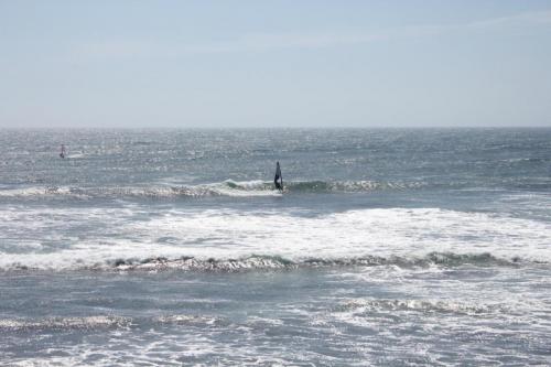 IMG 8772