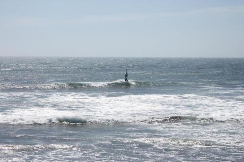 IMG 8774